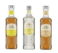 Trilogie de Thés Glacés Bio 6 x 355 ml - Coffret Dégustation avec Darjeeling Citron, Darjeeling Pêche et Thé Blanc White Downy