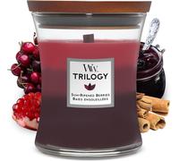 Trilogy Bougie Jarre Moyenne Parfumée Avec Mèche Pluswick,Baies Ensoleillées