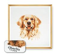 Trimits Grand kit de point de croix personnalisé pour adultes débutants, décoration murale pour amoureux des animaux, propriétaires de chiens, 11 points, 36 x 36 cm, cadre Golden Retriever non inclus