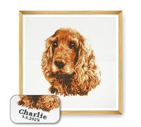 Trimits Grand kit de point de croix personnalisé pour adultes débutants, décoration murale pour amoureux des animaux, propriétaires de chiens, 11 points, 36 x 36 cm, Cocker Spaniel (cadre non inclus)