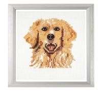 Trimits Mini kits de broderie au point de croix compté, 13 x 13 cm, Golden Retriever