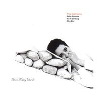 TRINE-LISE VÆRING - IN SO MANY WORDS