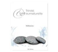 Trinité et Vie surnaturelle Méditations - Un Chartreux - Sainte-Madeleine - broché - Essai