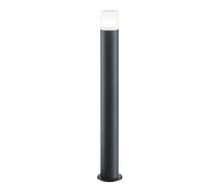 Trio 424060142 Luminaire, Aluminium Plastique, Anthracite