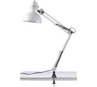 trio 5029010-01 lumières à attaches métalique blanc Incolore G