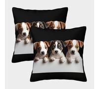 Trio de Chiots Mignons - Style de Photographie d'animaux de Compagnie Adorable Housse Coussin 2 Pièces Art Taie d'oreiller Décor Confortable Housses Coussins pour Canapé LiterieCanapé 40x40cm