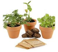 RADIS ET CAPUCINE-Kit prêt à pousser de 3 pots Radis 1 Capucine Mes 3 plantes magiques