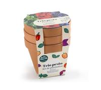 Trio de pots en terre cuite - pesto bio