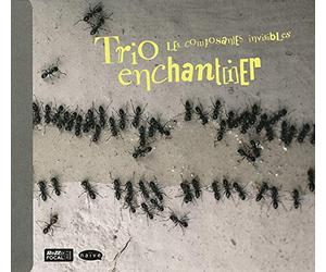 Trio Enchantier - Composantes Invisibles