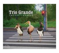 Trio Grande : "Impertinence