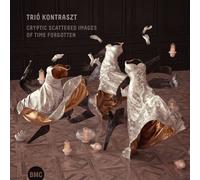 Trio Kontraszt - Cryptic Scattered Images Of Time Forgotten [Cd]