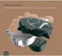 Trio Kontraszt - From Dyonisian Sound Sparks to the Silence of Passing / Trio Kontraszt
