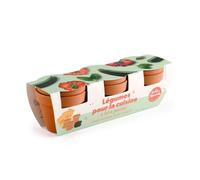Trio légumes bio pour la cuisine - tomat
