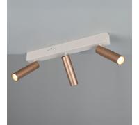 TRIO Leuchten Ambala Projecteur, LED, 849210365,