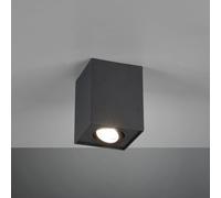 TRIO Leuchten Biscuit Spot de plafond, GU10, 613000132,