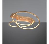 TRIO Leuchten Darvin Plafonnier LED, 649110179,