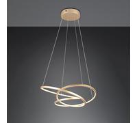 TRIO Leuchten Darvin Suspension LED, 349110179,