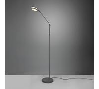TRIO Leuchten Franklin Lampadaire LED, 1 source lumineuse, 426510142,