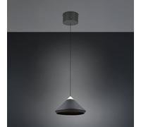 TRIO Leuchten Laguna Suspension à 1 source lumineuse, LED, 336219132,