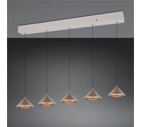 TRIO Leuchten Laguna Suspension à 5 sources lumineuses, LED, 336210565,