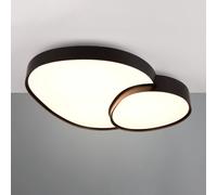 TRIO Leuchten Rise Plafonnier LED, 647519232,