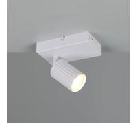 TRIO Leuchten Soka Projecteur, 867770131,