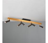 TRIO Leuchten Zeno Projecteur, LED, 648310780,