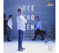 Trio Metamorphosi - Trii per Pianoforte OP. 1 N.3 38 Woo 39 Movement Hess 48 14 Variazioni OP.44 [Import]