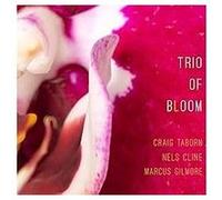 Trio Of Bloom