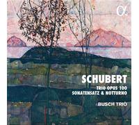Trio Opus 100 Sonatensatz et Notturno CD