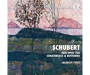 Trio Opus 100, Sonatensatz & Notturno