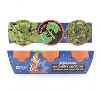 Trio Plantes Magiques