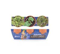 Radis et Capucine - Trio 3 pots - Plantes magiques à semer