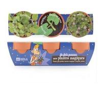 Radis et Capucine - Trio 3 pots - Plantes magiques à semer