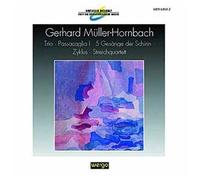 Trio Pour Violon, Violoncelle Et Piano, Passacaglia 1, Zyklus, Quatuor À Cordes