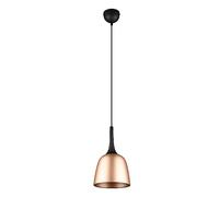 TRIO Chiron Suspension à 1 source lumineuse, 310800108,