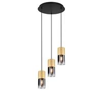 TRIO, Suspension, Robin 1xE27, max.28,0 W Verre, Fumé, Corps: Métal, Laiton mat Ø:37,0cm, H:150,0cm IP20,Sans illuminant,Réglable en hauteur,Source lumineuse remplaçable p