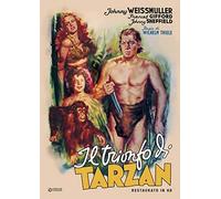 Trionfo Di Tarzan (Il) (Restaurato In Hd) [Region Free]