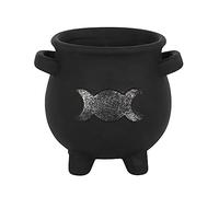 *Triple Moon Cauldron Plant Pot (12/24)