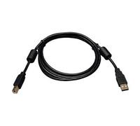 Tripp Lite 6ft USB 2.0 Hi-Speed A/B Device Cable Ferrite Chokes M/M 3' - C?ble USB - USB (M) pour USB Type B (M) - USB 2.0-1.8 m - Moul? - Noir