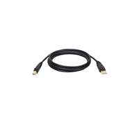 Tripp Lite Câble USB U022-006 USB 2.0 Hi-Speed A/B mâle-mâle 1,8 m blindé, contacts or