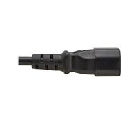 Tripp Lite Series - Câble d'alimentation - IEC 60320 C14 pour power IEC 60320 C13 - 250 V - 10 A - 1 m - noir - Europe