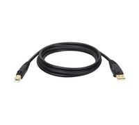 Tripp Lite Series USB 2.0 A to B Cable (M/M), 15 ft. (4.57 m) - Câble USB - USB (M) pour USB type B (M) - USB 2.0 - 4.6 m - moulé - noir