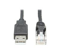 Tripp Lite Series USB to RJ45 Rollover Console Cable (M/M) - Cisco Compatible, 250 Kbps, 15 ft., Black - Câble série - USB (M) pour RJ-45 (F) - 4.57