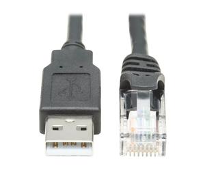 Tripp Lite U009-006-RJ45-X changeur de genre de câble RJ-45 USB 2.0 Type-A Noir