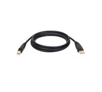 Tripp Lite U022-006 Câble USB 2.0 A-B 1.8m Noir - Connecteurs Mâle/Mâle, Contacts Or, Blindage Aluminium Mylar, 480 Mbit/s