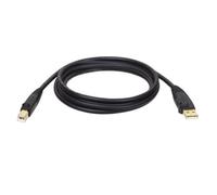 Tripp Lite Câble USB U022-006 USB 2.0 Hi-Speed A/B mâle-mâle 1,8 m blindé, contacts or