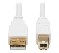 Tripp Lite U022AB-006-WH câble USB 1,83 m USB 2.0 USB A USB B Blanc
