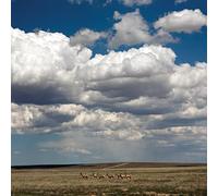 Tripper/Vinyle Blanc/Inclus 1 Maxi 45t Bleu Marine