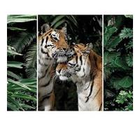 Triptyque sur toile couple de tigres 125x97 cm CEANOTHE Décoration Murale Art Décoratif Muraux Peinture Imprimée en HD Salon Chambre Bureau Fabriqué en France Vert G